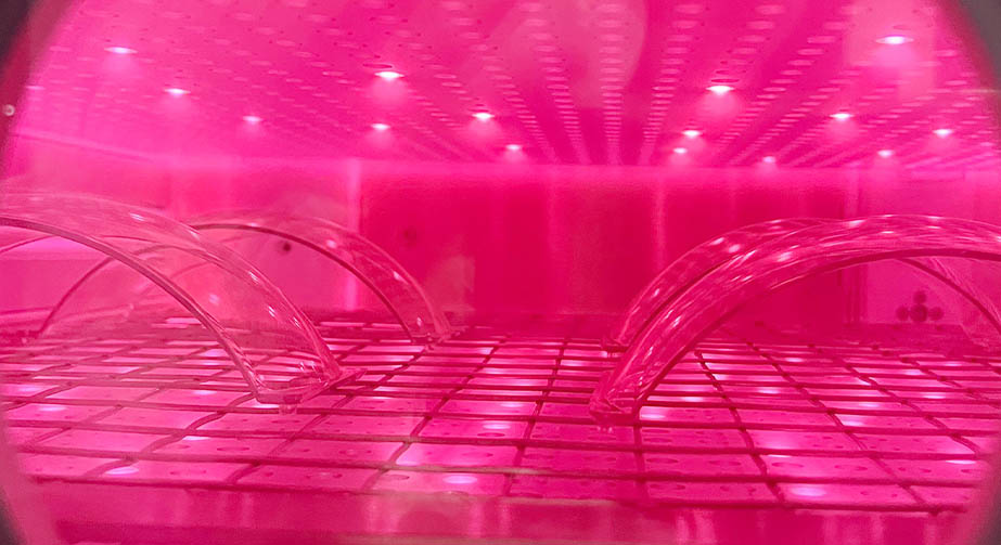 等離子處理和電暈處理的區別與聯系