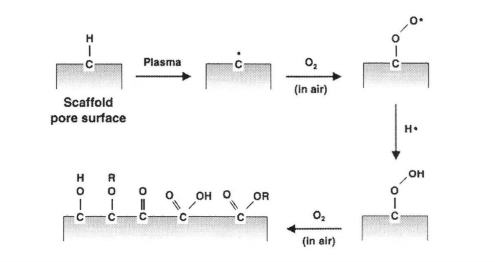 氧等離子體在與材料表面接觸時(shí)羥基化、羧基化的示意圖