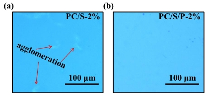圖1 PC基底有無等離子體處理的有機(jī)硅膜層的表面形貌 