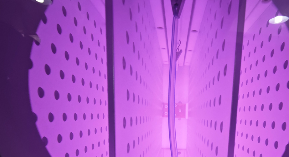 低溫等離子體處理設備類型介紹